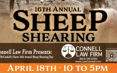 Sheep Shearing Event