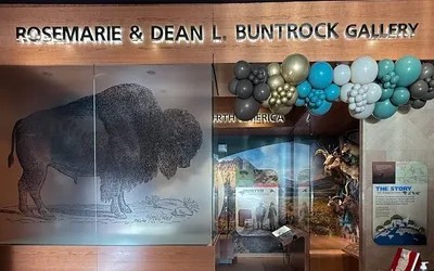 Bison-focused video launch