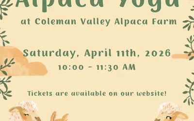 Alpaca Yoga
