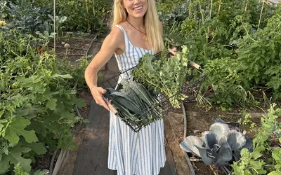 Beginner Gardener Workshop @ Young Harvest Farm