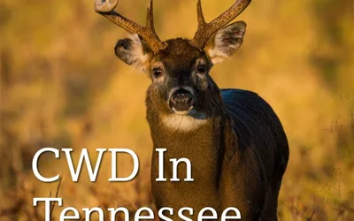 CWD Public Informational Meeting