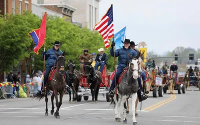 Mule Day Parade