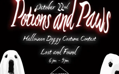 Potions and Paws