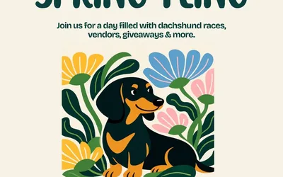 Spring Fling at Urban Dog Bar