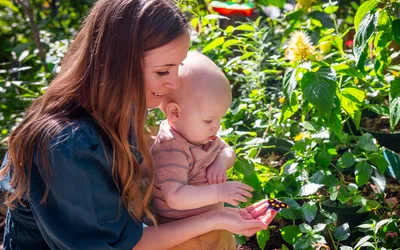 Butterflies in the Garden