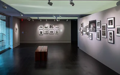 Carrie Mae Weems: Something Grander Still