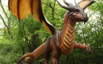 Dragon Trails Exhibit Grand Opening Celebration