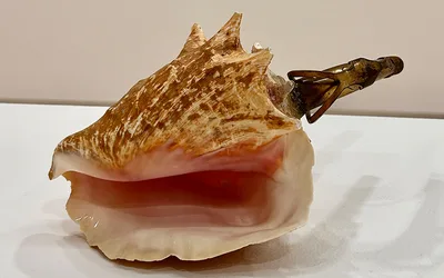 Jamal Cyrus: how you sound