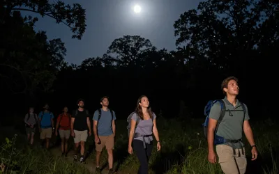 Night Hike