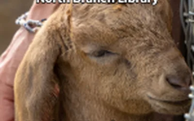 Spring Fling: Kick-Off Party!