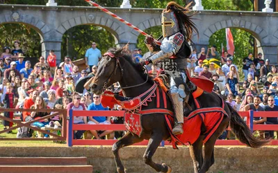 Texas Renaissance Festival