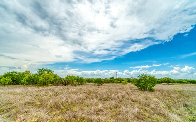 Texas Working Lands Innovation Summit