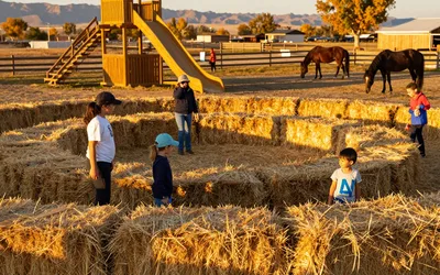 Adams AGventures: Straw Bale Maze & more