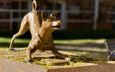 Art Around the Corner Opening Celebration