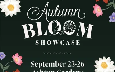 Autumn Bloom Showcase