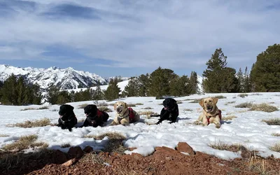 Backcountry Bow Wow fundraiser