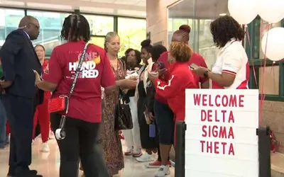Delta Sigma Theta Volunteers Transform Franklin Elementary School Playground