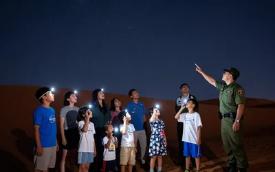 EKO: Starry Skies