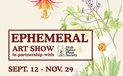 Ephemeral Art Show