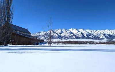 Ice Rink at the Gallivan Center Fun Date
