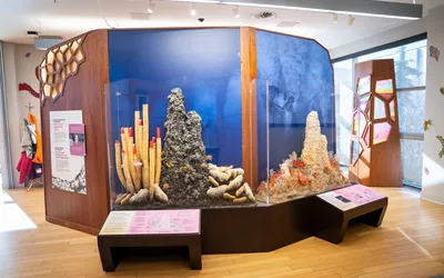 'Life on the Edge' Exhibit
