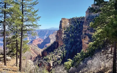 North Rim Reopening