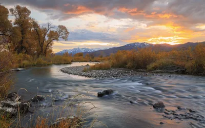 Provo River Days