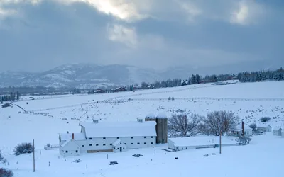 Silent Walk for Peace