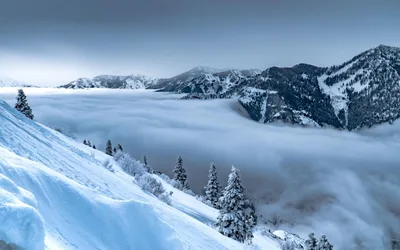 Spring Activities in Utah Valley