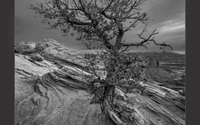 Spring Salon 102 Opening Reception