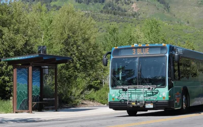 Timeless Connections Bus Shelter Art Initiative - Phase II