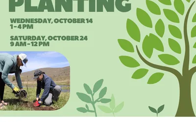 Restoration Planting at Swaner Preserve