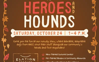 Heroes and Hounds at Elation