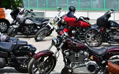 43rd OYSTER RUN