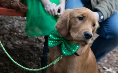 Elks Temple St. Patrick's Celebration