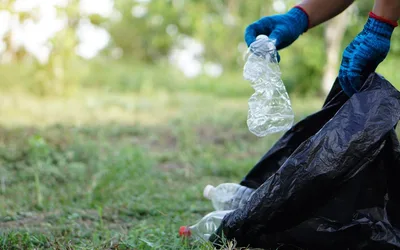 Operation Clean Sweep