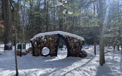 Animal Tracking Workshop