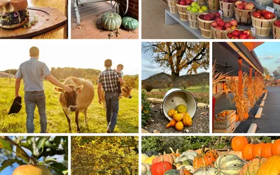 Hampshire County Fall Crawl