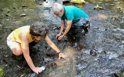 Green Drinks with water-related arts
