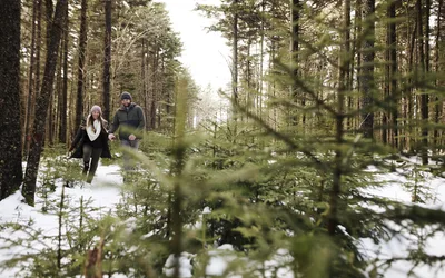 West Virginia Strawberry Festival