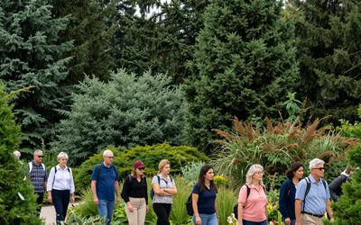 Conifers: Arboretum Garden Tour