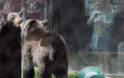 Menominee Park Zoo Summer Season