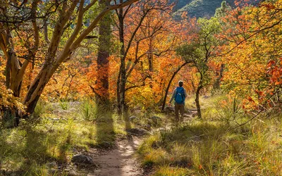 Sustainability Week Hike