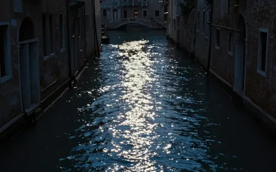 White Nights