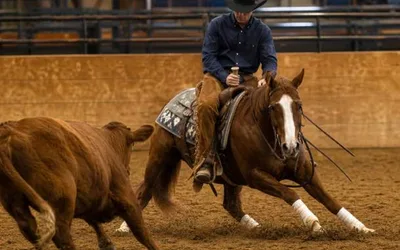 Big Sky Circuit Finals