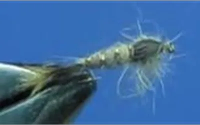 Brodhead Fly Tiers Monthly Meeting