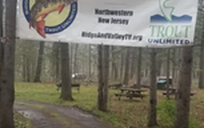 Camping Friday Night