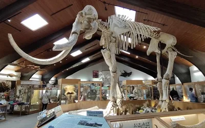 Dee-Union Celebration