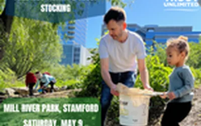 Downtown Trout - Truchas del Centro