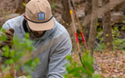 Finch Flood Plain Volunteer Workday